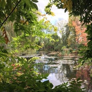 Meet your Posher, Rene